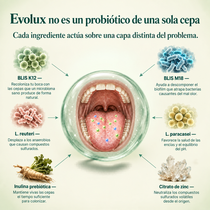 Evolux™ | Aliento Fresco desde el Origen